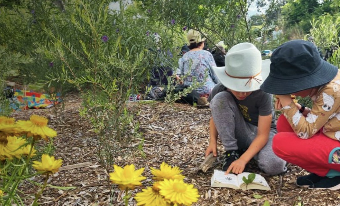 Students exploring a microforest with a field guide